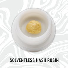 Vivid | Live Rosin | Maple Nectar 1g