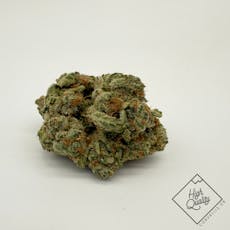 Sasquatch - East Fork Cultivars (1:1)