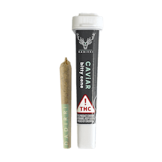 Dadirri Bitty Caviar Cone .5g Indica; Champagne Showers