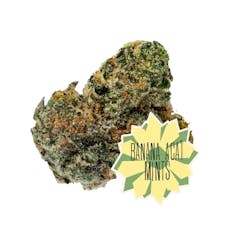 Banana Açaí Mints: Flower (3.5g) - District Cannabis