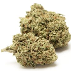 Flower | Summer Crush