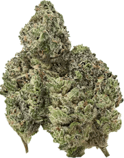 Cold Fusion - 7g - (the) Essence