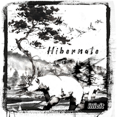 Illicit Gardens - Hibernate - Flower - 3.5g
