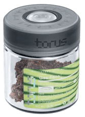 Gas Face by Torus