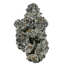 Emerald Visions Blue Lobster BULK