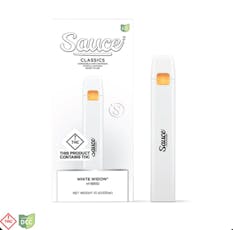 WW Disposable Vape | H