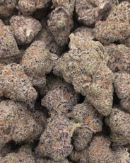Glitter Bomb | Bulk Flower