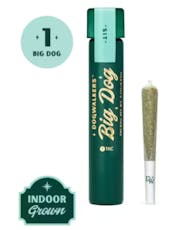 Runtz Big Dog 1g