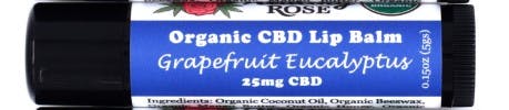 The Healing Rose | Organic Grapefruit Eucalyptus Lip Balm I 25mg CBD