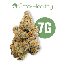 Tropicana Punch Flower 7.0G