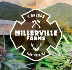 Spritzer (Millerville) $6/g