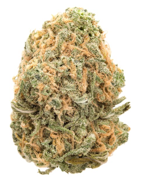 Bestfriend OG