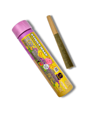 Sticky Jelly Infused Rosin Pre-Roll