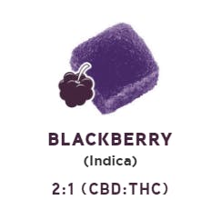 Drops 20pk - 2:1 Blackberry