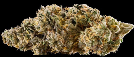 Brownie Scout | Flower | 3.5G