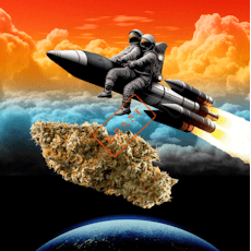 Rythm - Afternoon Delight #4 (H) - 36.66% - Flower - 3.5g