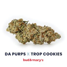 Bud & Mary's Da Purps x Trop Cookies Buds