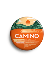 Recover | FRESHLY SQUEEZED | 20-Pack