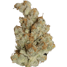 Battle Axe | Flower Bar