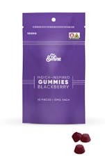 &Shine Blackberry 10pk/100mg