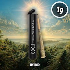 Perpetual PreRoll (1.0g) Major League Chew #2