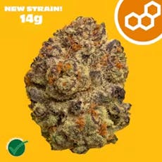 Pinyatti 14g 41686