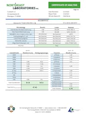 Elite Purple Urkel Cartridge 1g (01302)