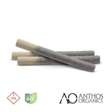 Anthos - Glitter Bomb SSU Flower Pre-Roll - 3 Pack - 1.5g