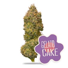Gelato Cake