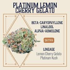Platinum Lemon Cherry Gelato