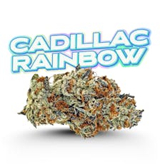 Fade Co. Holy Grail | Cadillac Rainbows Pre-Packaged (Small Buds) | 14g