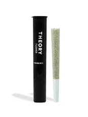 Theory - Bernscotti - Pre-Roll - 1g