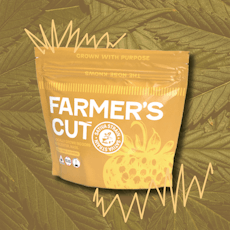 Farmer's Cut | Tropical Headband | 14g