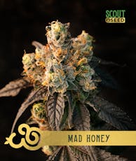 28g | Mad Honey