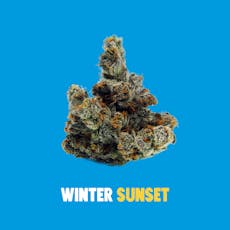 Buoyant Bob | Winter Sunset 3.5g