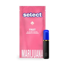 Select Fruit Stiq: Vape | Blackberry Blast | All-In-One | 1g