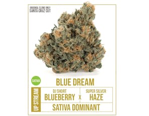 Upstream Blue Dream