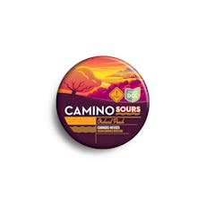 Kiva - Camino Sours Orchard Peach 1:1 Gummies - 10ct - 110mg