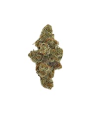 Health Circle - Glitter Bomb Bulk Flower