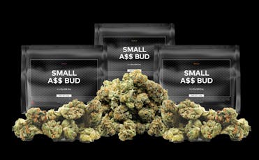 Motor Cake 14g - Small A$$ Bud