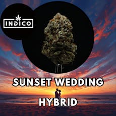 Flower - Indico - Sunset Wedding - Platinum Shelf