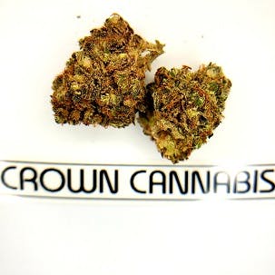 Purple Kush