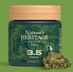 Special | Chestah The Cheetah | Nature's Heritage | 3.5g | 30% off