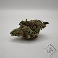 Black Maple - Oregrown (H)