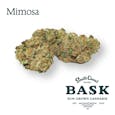 Bask Mimosa 3.5g