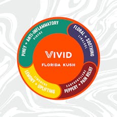 Vivid - Florida Kush - Deli Flower - Hybrid