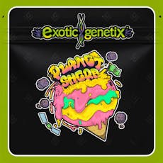Exotic Genetix Planet Sherb