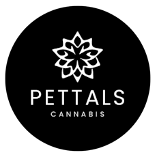 Hat - Pettals | Pettals Beanie (Cream)