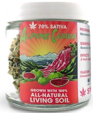 Lime Freezer by Sweetwater Farms