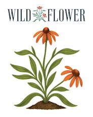 14g Black Maple | Pre-Ground | TAX INCLUDED